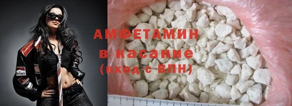 стаф Корсаков