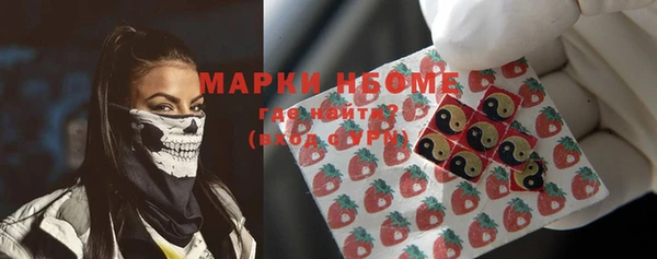 индика Лихославль