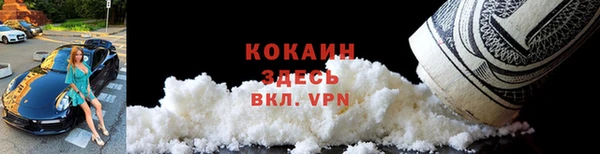 стаф Корсаков