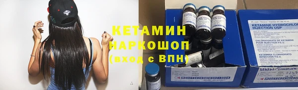 стаф Корсаков