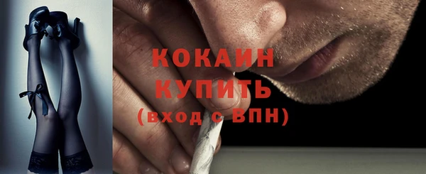 стаф Корсаков
