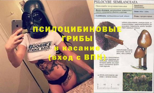 mdpv Болотное