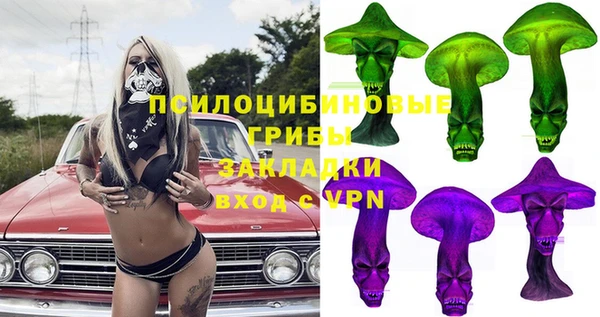 индика Лихославль