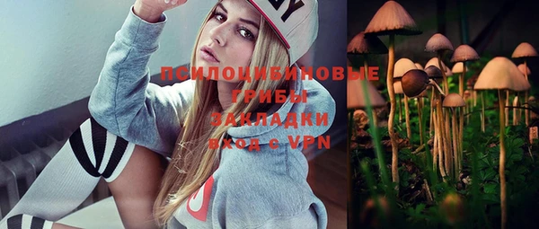 индика Лихославль