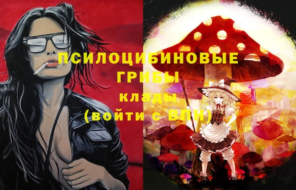амф Костерёво