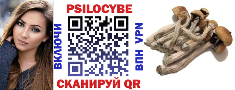 Псилоцибиновые грибы мухоморы  МЕГА вход  Лахденпохья  хочу наркоту 