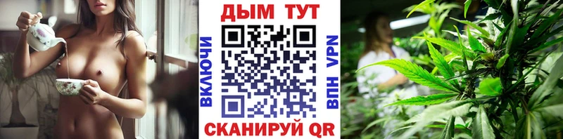 Шишки марихуана семена  Лахденпохья 